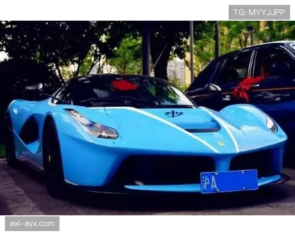 郑钦文训练室外惊现豪车，感觉她收藏比我房子还多！