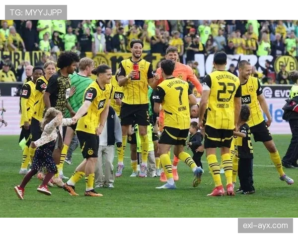 多特蒙德赛季初强势难掩后续乏力，高开低走趋势已逐步显现